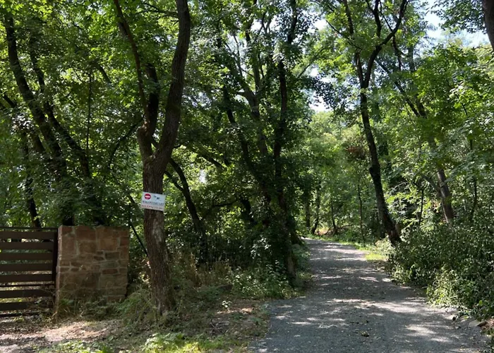 Red Stone Apartman Palkoeve 200M A Balaton Parttol Kilatassal